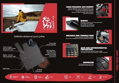 Attēls no Gummimåtter DAF XF XF106 Euro6 2013-