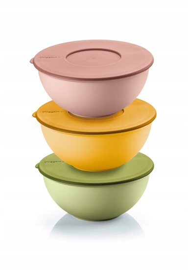 Изображение Guzzini EVERYWHERE BIO - Set 3 16cm Containers w. lid Assor.col