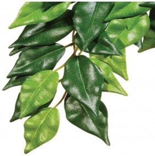 Picture of Hagen EXOTERRA ROLINA FICUS M