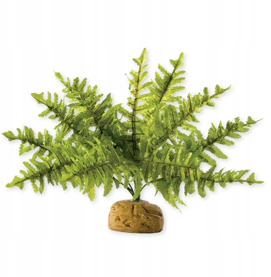 Изображение Hagen HAG.ROSL.D/TERRAR.BOSTON GERN 22CM 2990 - 58780