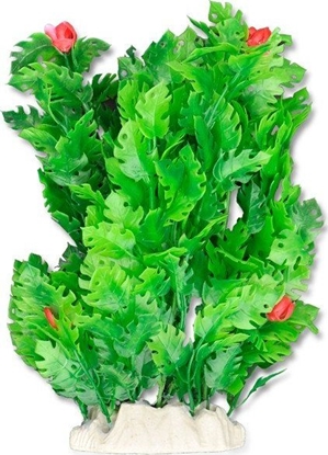 Picture of Happet HAPPET ROLINA FOLIA 20CM / 2F24