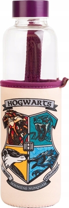 Изображение Harry Potter Harry Potter - Butelka na wod ze szka 500 ml (Hogwarts)