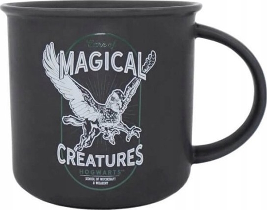Picture of Harry Potter Harry Potter - Kubek ceramiczny w pudeku prezentowym Magical Creatures 430 ml