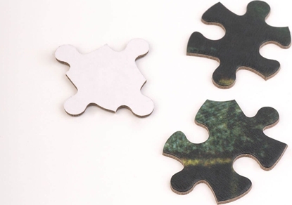 Attēls no Harry Potter Harry Potter - Puzzle 500 elementów w ozdobnym pudeku (Harry Potter i Komnata Tajemnic)