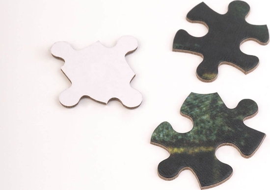 Picture of Harry Potter Harry Potter - Puzzle 500 elementów w ozdobnym pudeku (Harry Potter i Komnata Tajemnic)