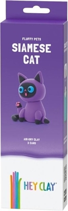 Picture of Hej Clay - Kot syjamski