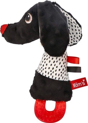 Picture of Hencz Toys Zabawka Jami piszczek z gryzakiem kontrastowy