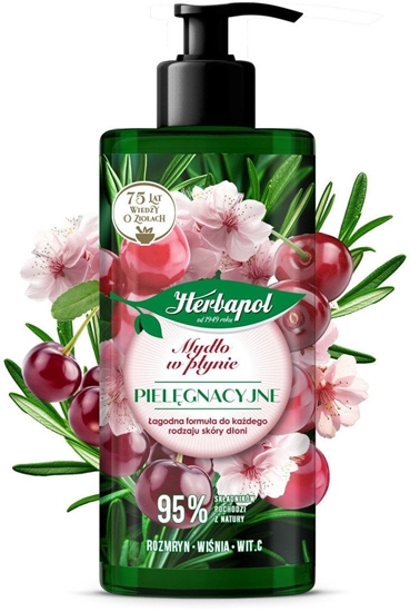 Picture of HERBAPOL Mydo w pynie pielgnacyjne Rozmaryn, Winia, Witamina C 390 ml