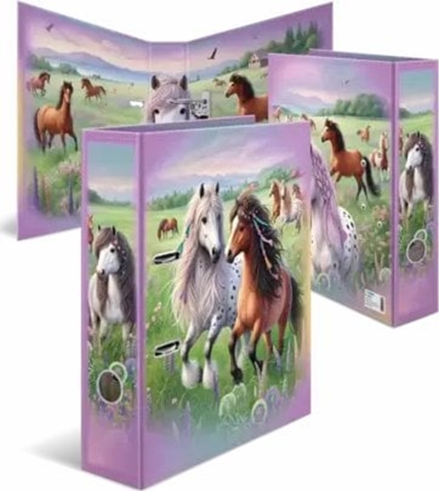 Picture of HERMA 20116 segregator A4 Wielobarwny