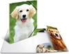 Picture of Herma Sammelmappe A3 Hunde Polypropylen