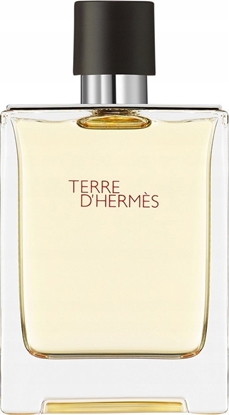 Picture of Hermes Terre D'hermes Eau De Toilette Purkiklis 100ml