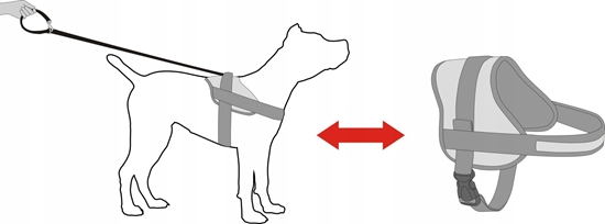 Picture of Hobbydog R5 SZELKI JULLETTA POPIEL