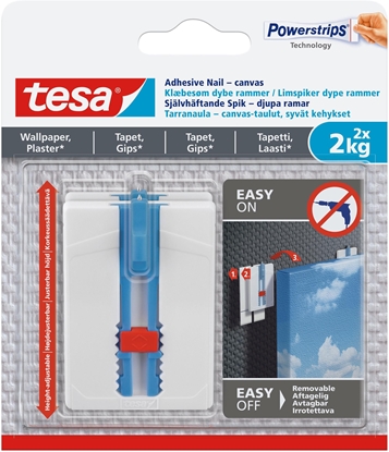 Picture of HOOKS FOR CANVAS 77779 2X2KG WITH NAIL