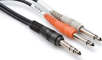 Picture of Hosa Technology TRS/2 x TS, Male, 2 x 6.35mm TS, Male, 3 m, Black