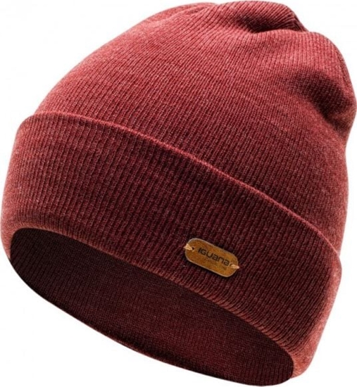 Изображение Iguana Czapka zimowa mska Seine brzowa r. uniwersalny