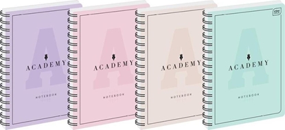 Attēls no Interdruk Koozeszyt B5/100K kratka Academy Pastel (5szt)