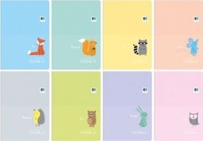 Picture of Interdruk Zeszyt 32k linia B&B PASTEL