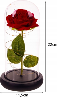 Изображение Iso Trade Róa w szkle - wiecca Malatec 21619