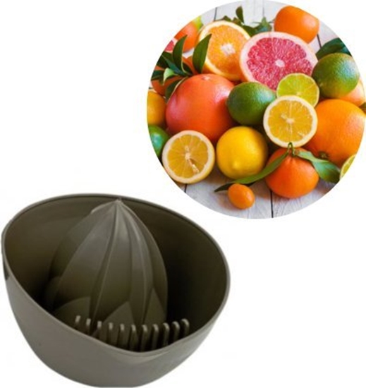 Picture of Jagieo Wyciskacz do cytrusów Jagieo MIX KOLORÓW