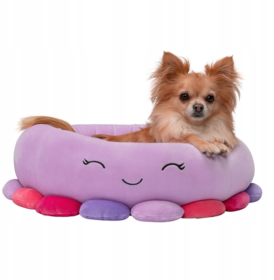 Picture of JAS PETS LEGOWISKO S 50CM OMIORNICA