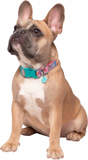 Picture of JAS PETS OBROA DLA PSA M