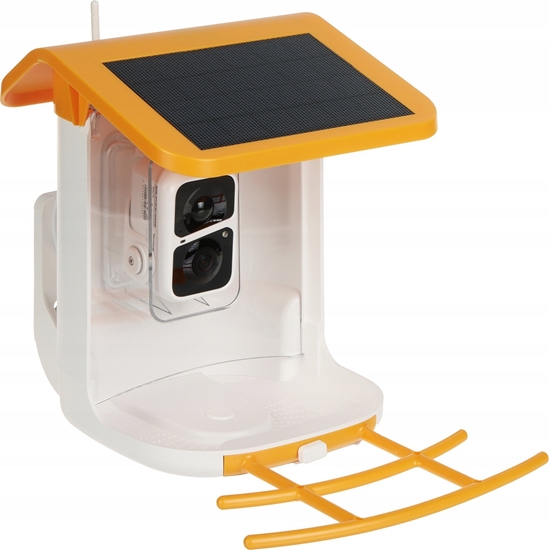 Изображение KARMNIK DLA PTAKÓW Z FOTOPUAPK APTI-W31BF1-VICOHOME