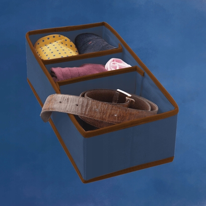 Изображение Kaste ar sadalam M 30 5x15 5x10cm Blue 8004226010104