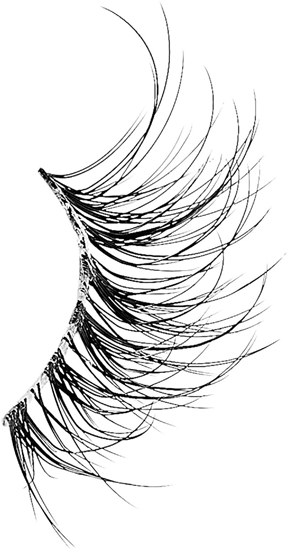 Picture of KISS Sztuczne Rzsy The New Natural - Glowy Skin 1 para + klej 1g