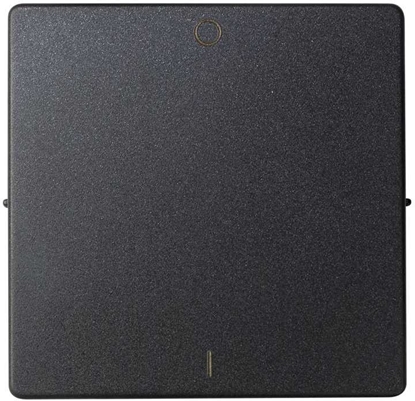 Picture of Klawisz pojedynczy do mechanizmu 75133-39 Kontakt-Simon 82 82031-38 cznika dwubiegunowego grafitowy