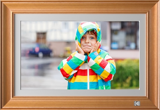 Picture of Kodak RWF-141 WiFi wooden brown