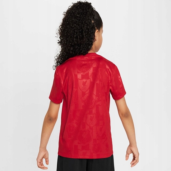 Изображение Koszulka Nike Liverpool FC Academy Pro SS Top Jr FQ0013-688