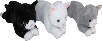 Picture of Kot 45cm MIX