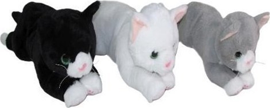 Picture of Kot 45cm MIX