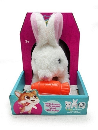 Picture of Królik chodzcy z marchewk