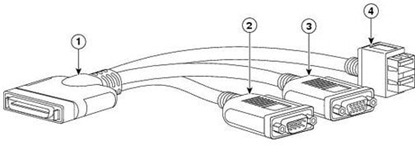Picture of KVM CABLE FOR B-SERIES BLADE