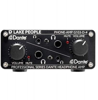 Изображение Lake People G103-D-4 - Wzmacniacz suchawkowy