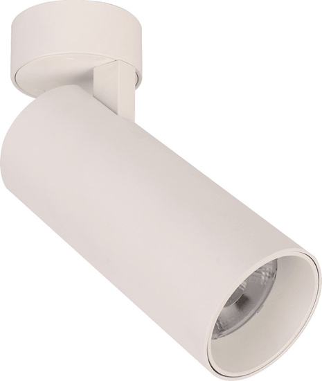 Picture of Lampa sufitowa Blaupunkt Reflektor BLAUPUNKT DRNW-12NW 12W