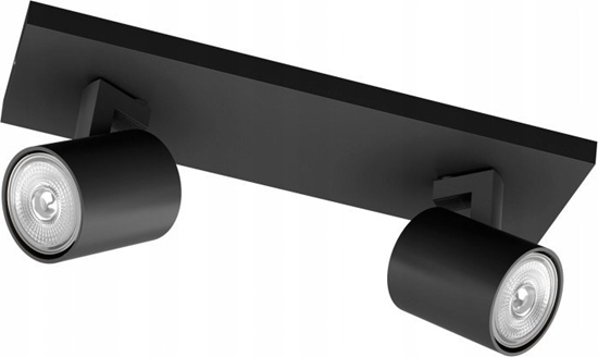 Picture of Lampa sufitowa Philips LAMP RUNNER BAR/TUBE BLACK 2X20W 230V