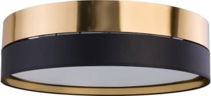 Attēls no Lampa sufitowa TK Lighting Lampa sufitowa HILTON 4180