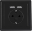 Picture of Lanberg LANBERG AC-WS01-USB2-F-B AC Wall Socket