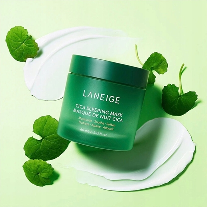 Picture of Laneige Laneige Cica Sleeping Mask 60 ml