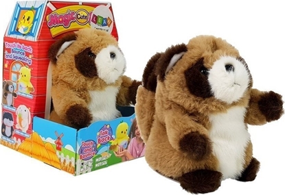 Picture of LeanToys Interaktywny Gadajcy Szop Pracz Powtarzajcy Sowa Pluszowy