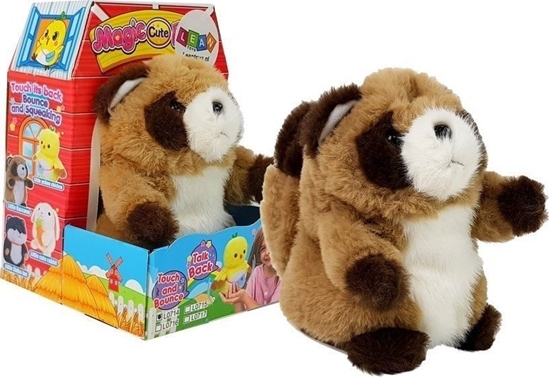 Picture of LeanToys Interaktywny Gadajcy Szop Pracz Powtarzajcy Sowa Pluszowy