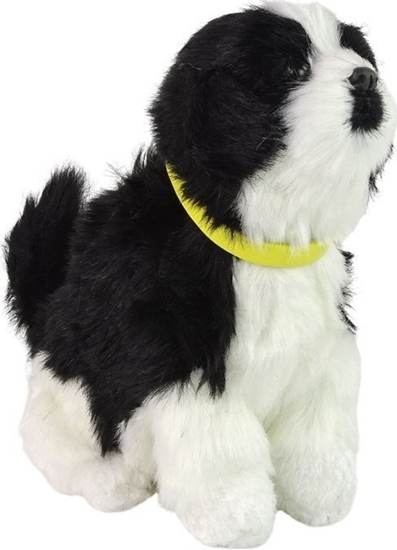 Изображение LeanToys Interaktywny Pies Piesek Border Collie Pluszowy Szczeka Rusza Ogonem