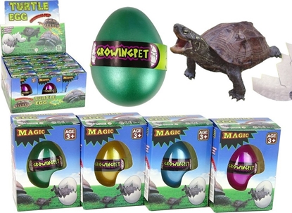 Picture of LeanToys Wykluwajce si Magiczne Jajko ótwia Rosnce 6 cm