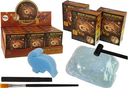 Attēls no LeanToys Zestaw Wykopaliska Staroytne Stworzenia Amonit Niespodzianka