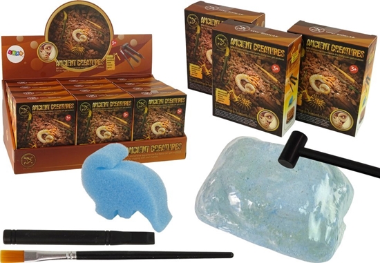 Picture of LeanToys Zestaw Wykopaliska Staroytne Stworzenia Amonit Niespodzianka