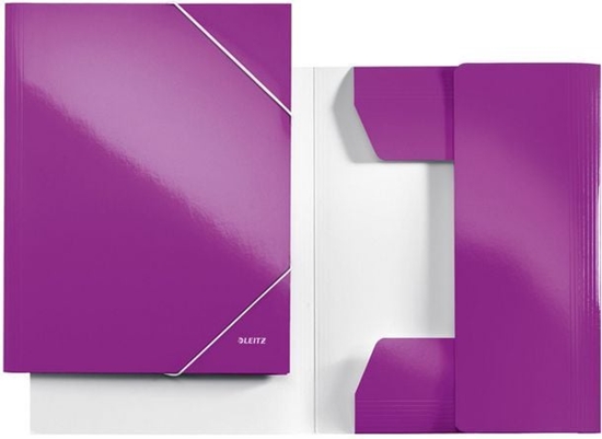 Picture of Leitz Teczka kartonowa z gumk