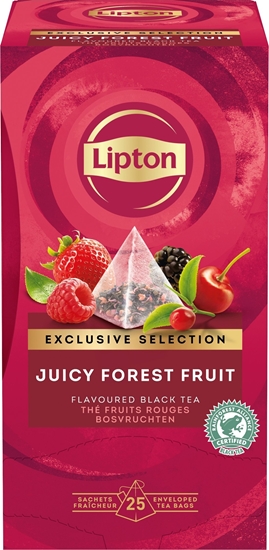 Picture of Lipton Herbata Exclusive Selection o smaku owocy lenych, piramidki, 25 kopert