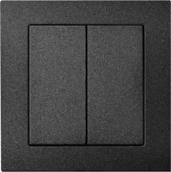 Picture of Liregus TWO WAY SWITCH IP6+6-10-201-01 BLACK EP